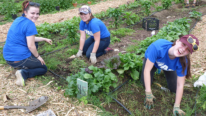 Bailey Herbstreit (IPVS 15) plants vegetables at Common Good City Farm as part of her Service Saturday project.
